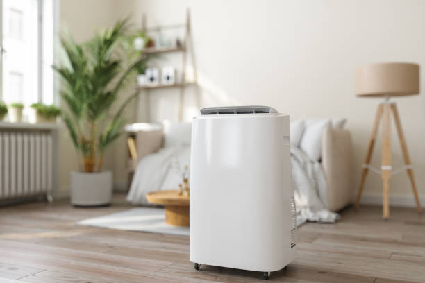 Best HVAC Repair Near Me  in Grayvle, IL